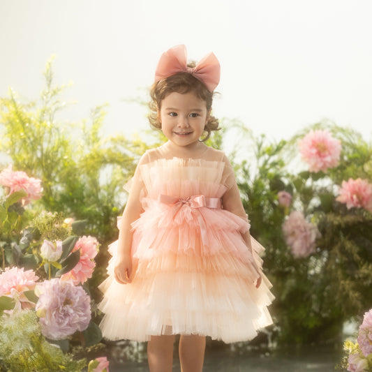 Chloe Dress - Birthday Dress Tutu Ombre Tiered Tulle Dress