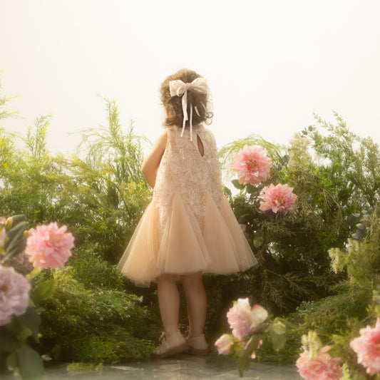 Sofia Dress