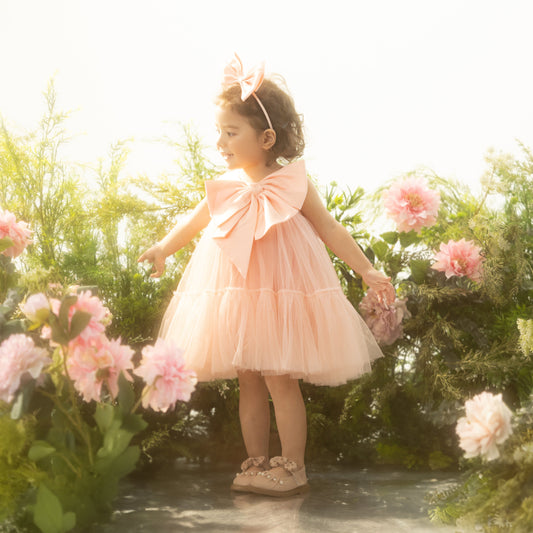 Ella Dress - Big Bow Baby Girl Dress Photoshoot Birthday Tutu Dress